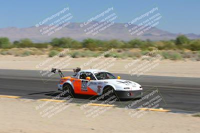 media/Oct-14-2023-Lucky Dog Racing (Sat) [[cef75db616]]/1st Stint Turn 10 Inside/